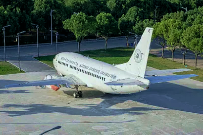 Boeing 737-500 Passenger