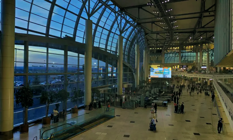 Международный аэропорт Домодедово