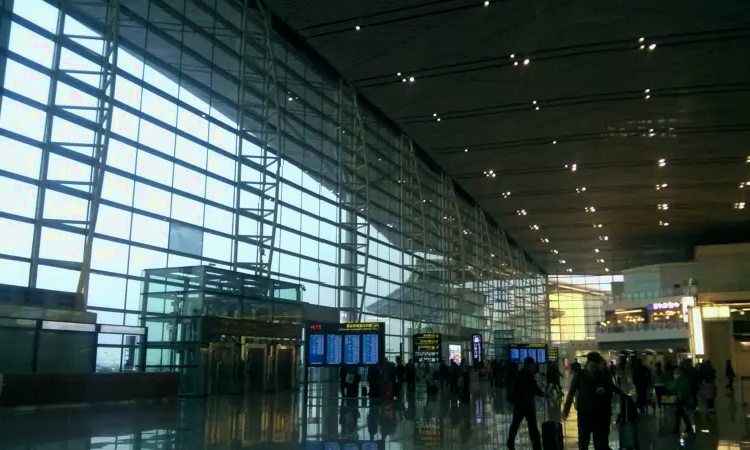 Тяньцзиньский международный аэропорт Биньхай