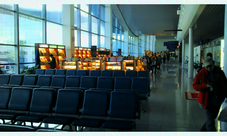 Международный аэропорт Урумчи Дивопу